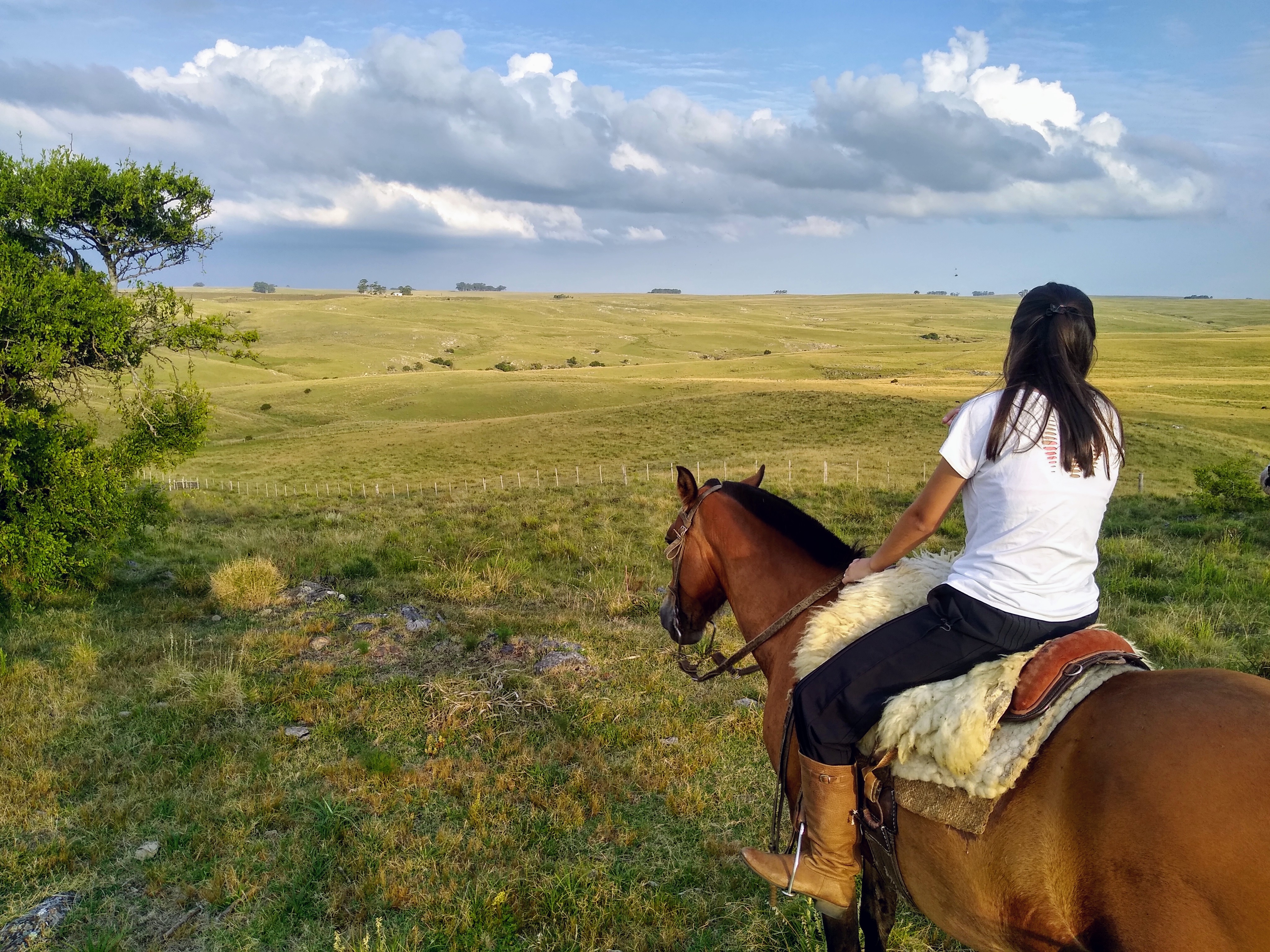 a young woman on horseback looks out across a green field with rolling hills