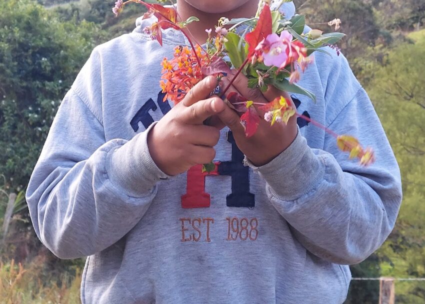torso of child holding fresh-picked flowers in his hands